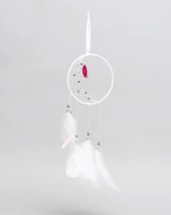 Half Moon Dream Catcher