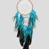 Amazon Dream Catcher